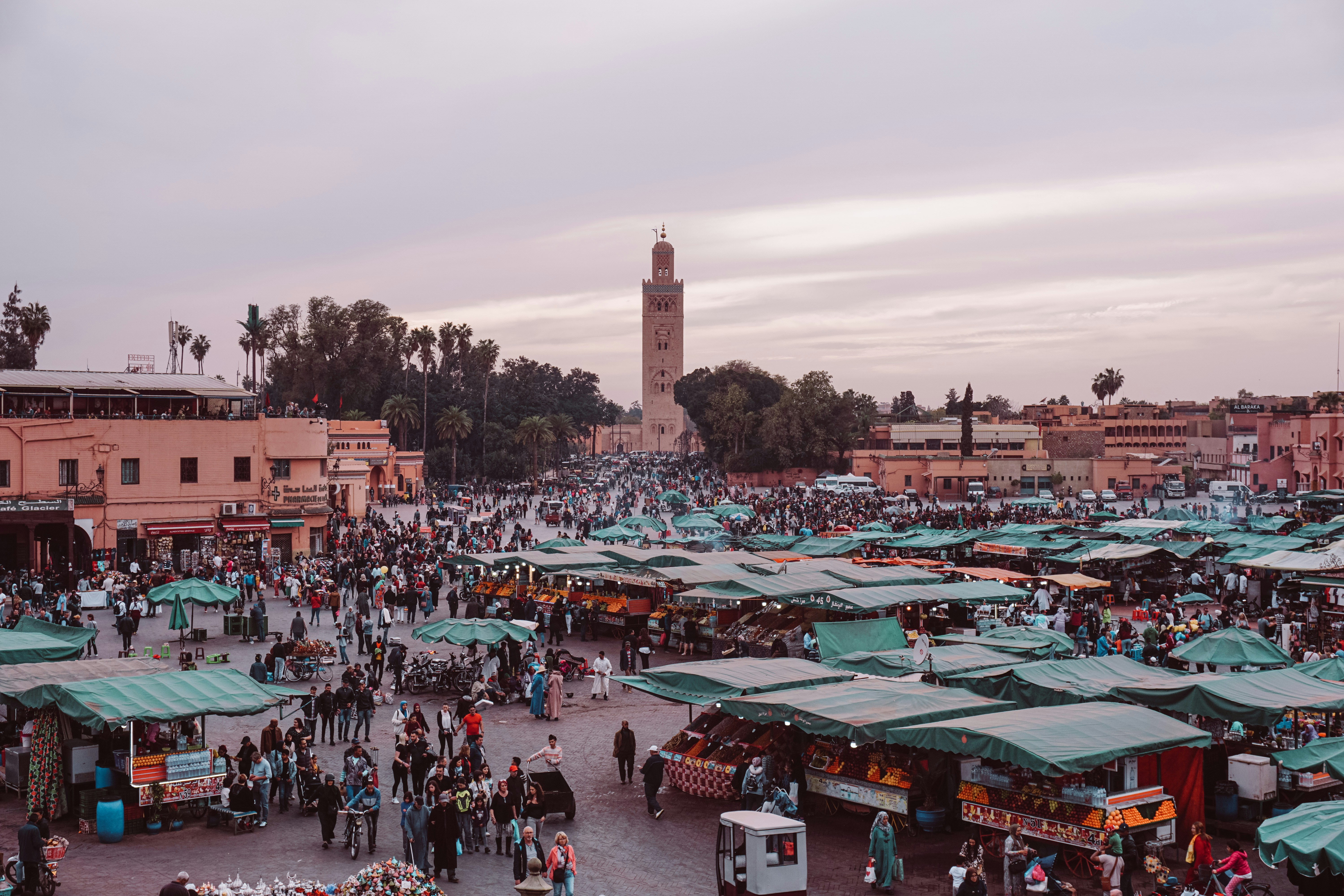Excursion à Marrakech : La Perle Rouge du Maroc