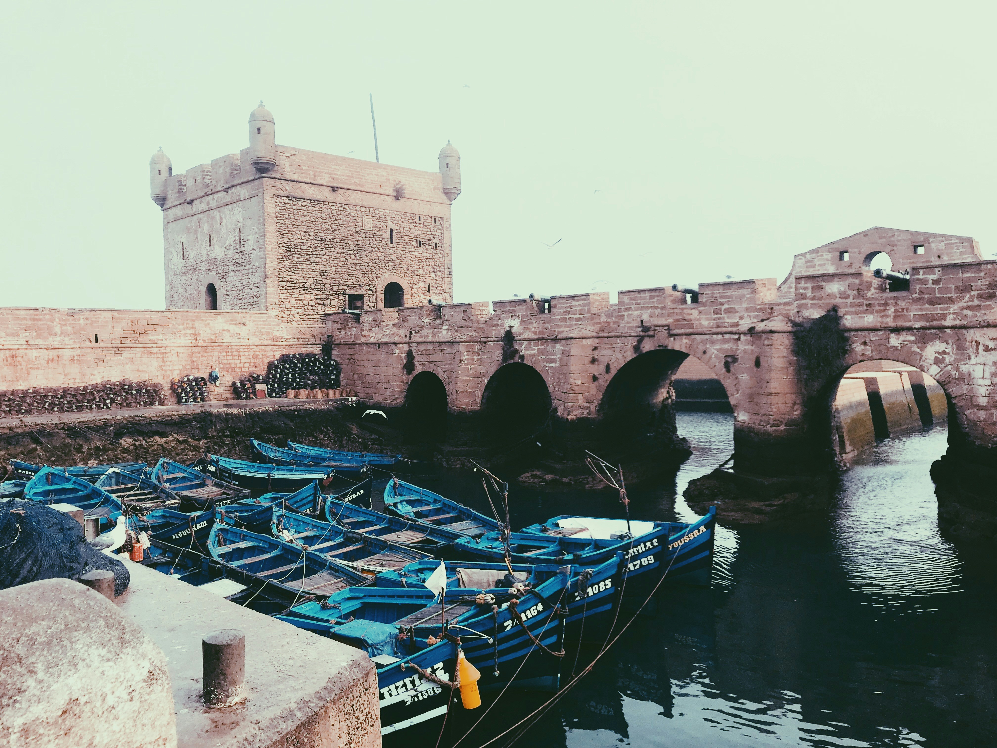 Excursion à Essaouira : Perle Atlantique du Maroc